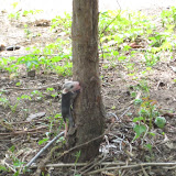 IMG_4312.JPG