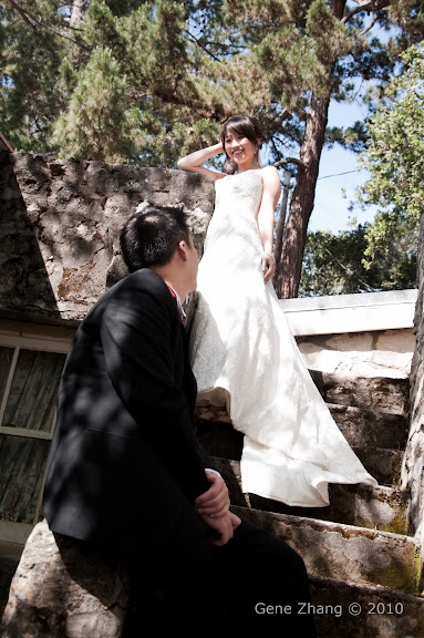 wedding photo 1