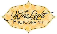 in the light photography logo 6