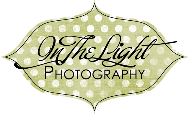 [in the light photography logo 2[3].png]