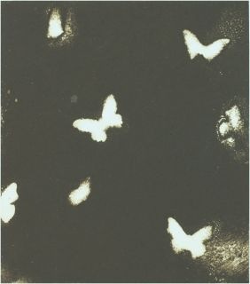 [blue butterflies in the dark_jpg-for-web-normal[2].jpg]