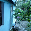 P1010642.jpg