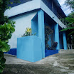 nov12 2010 (4).JPG