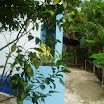 nov12 2010 (5) - copia.JPG