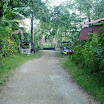 P1010046.jpg