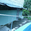 P1010644.jpg