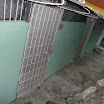 P1030420.JPG