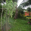P1030434.JPG