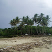 Fishing Trip at SuncampDR (62).JPG