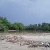 Fishing Trip at SuncampDR (63).JPG