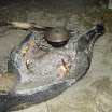 Fishing Trip at SuncampDR (94).JPG
