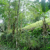 Mountain, property of Suncampdr (16).JPG