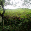Mountain, property of Suncampdr (18).JPG