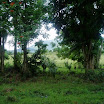 Mountain, property of Suncampdr (12).JPG