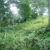 Mountain, property of Suncampdr (20).JPG