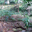 Mountain, property of Suncampdr (37).JPG