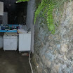 P1020527.jpg