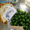 Tropical fruits at SuncampDR (1).JPG