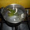 Guanabana against Cancer (3).JPG
