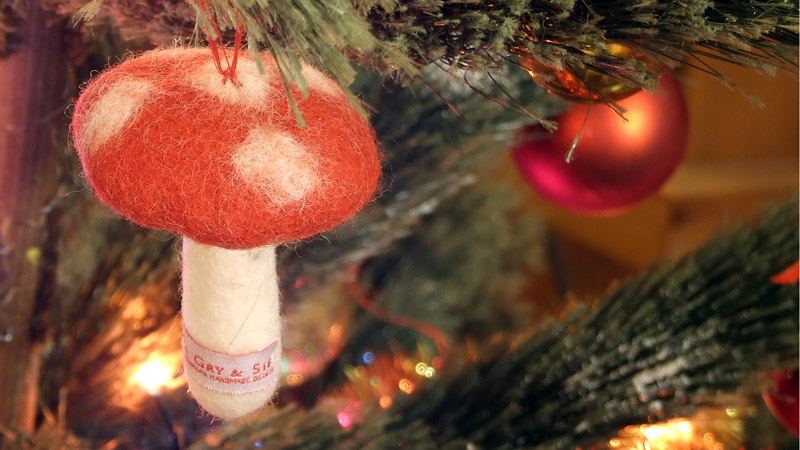 foto fungo albero di natale