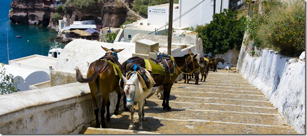 burros burros