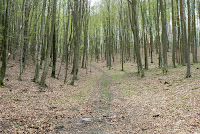 P1180515.JPG Photo