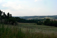 P1200516.JPG Photo