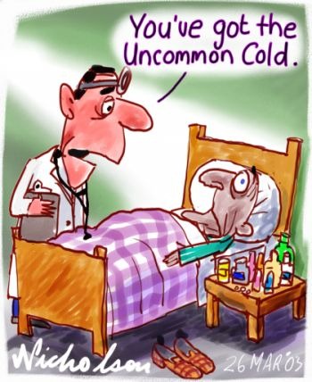 [common cold[5].jpg]