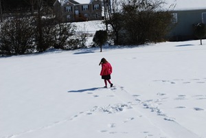[DSC_0545[2].jpg]
