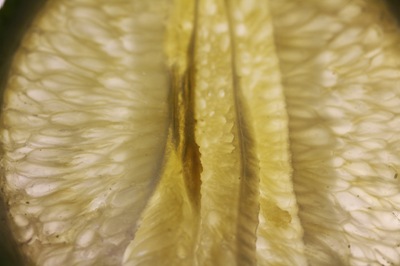 lime02