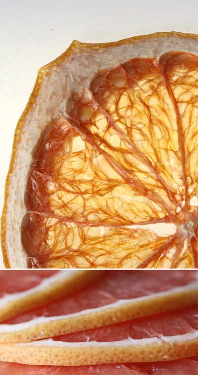 grapefruit02