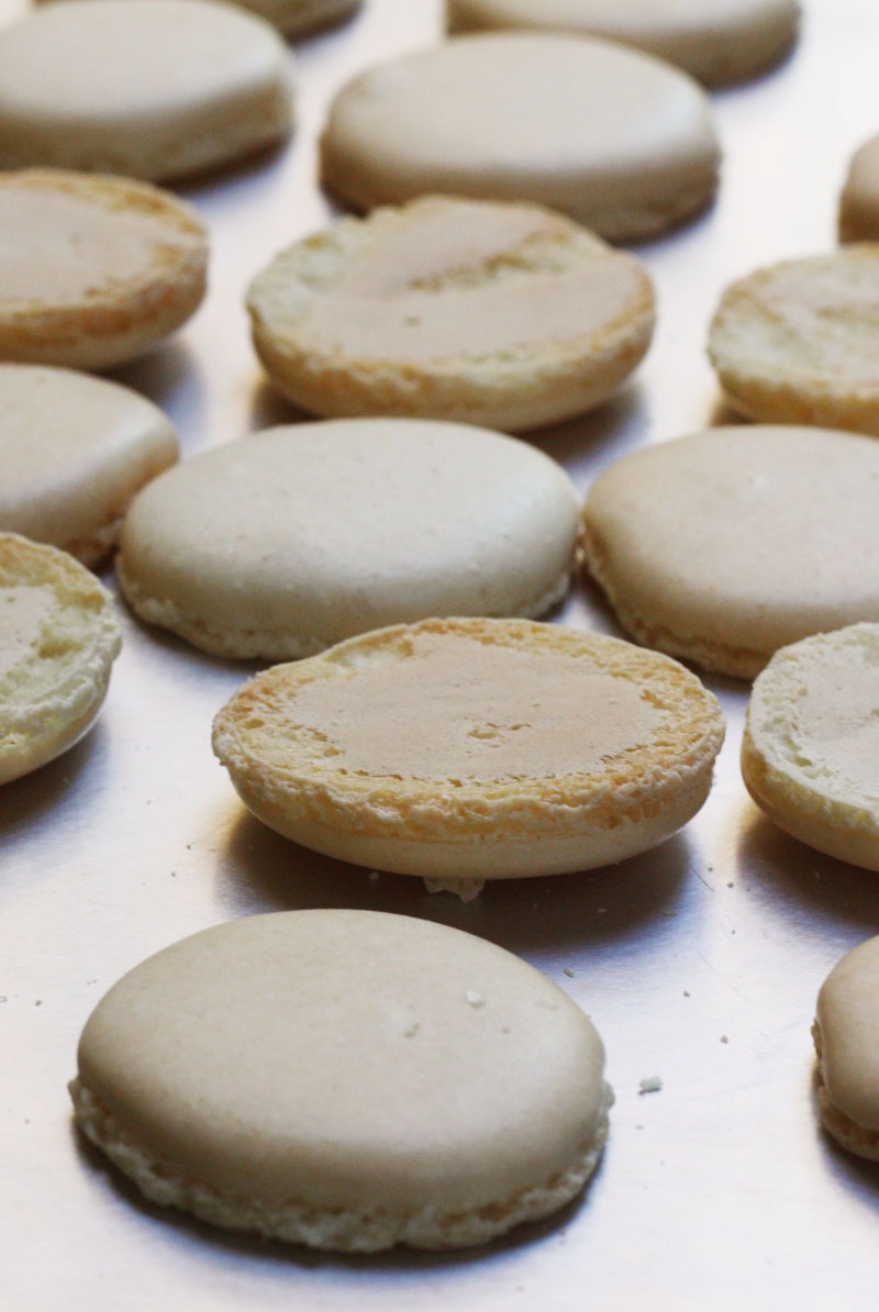[macaron03[5].jpg]