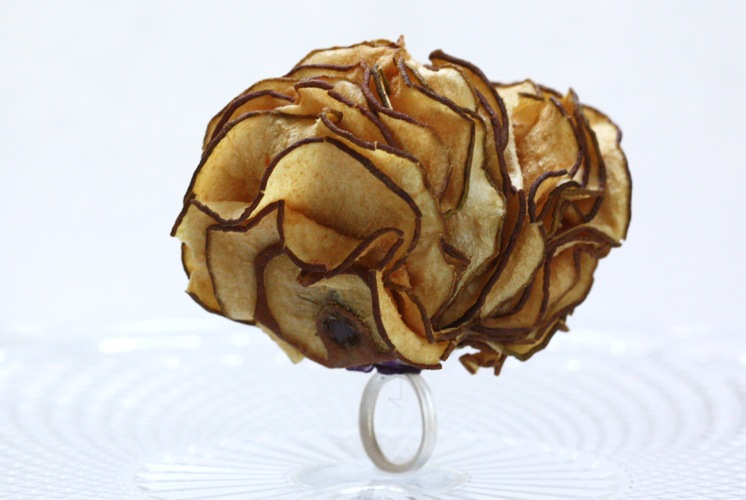 [fruitrings05[2].jpg]