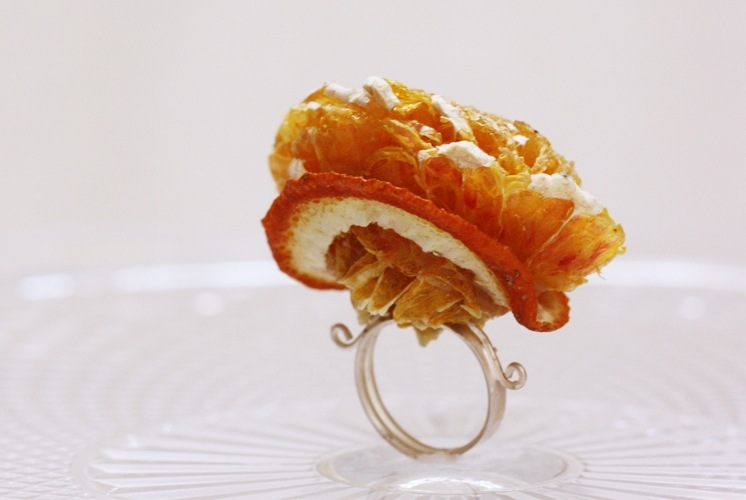 [fruitrings06[5].jpg]