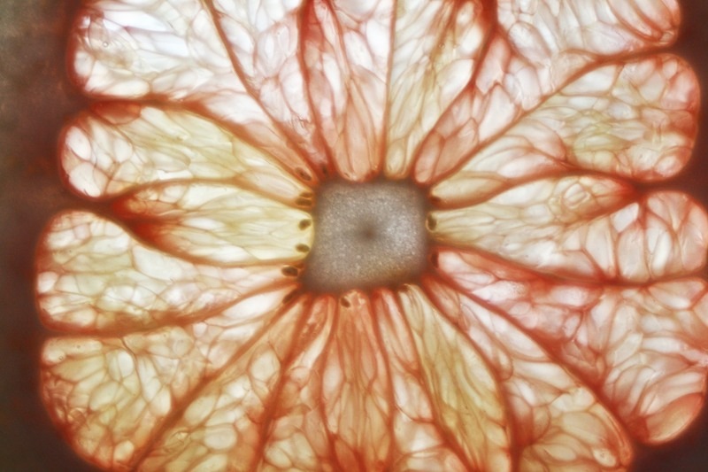 [pomelo05[5].jpg]