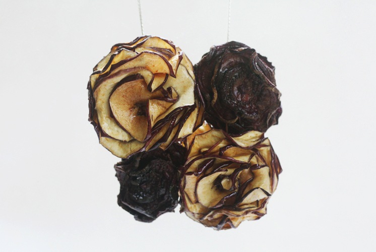[driednecklaces04[2].jpg]