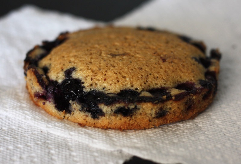 [blueberryf09[1].jpg]