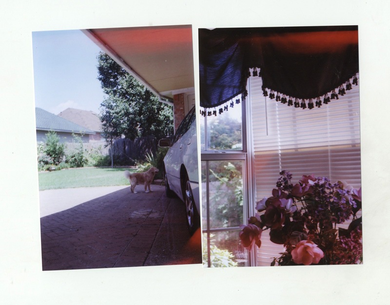 [film027.jpg]