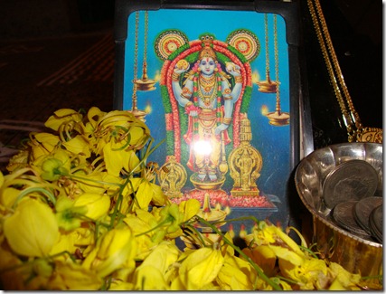 DSC00526