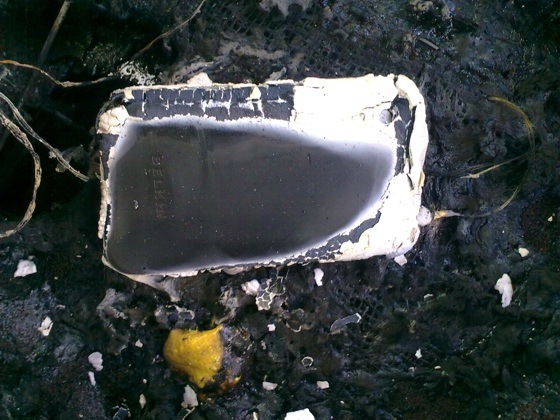 [iphone-3g-burnt2[4].jpg]