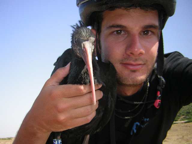 Ibis y Alejandro
