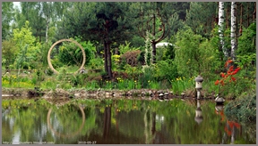 Babij Garden Budziarze - Mój ogród półdziki
