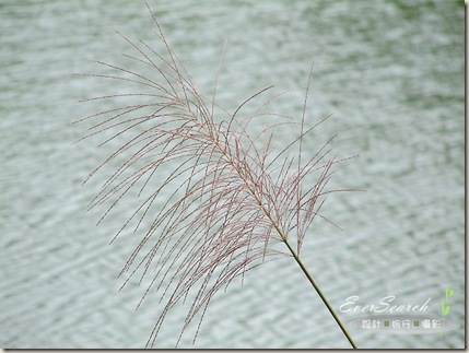 nEO_IMG_DSCF0012