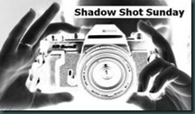 Shadow Shot Sunday logo1
