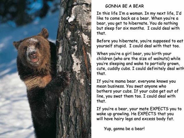 [gonnabeabear[5].jpg]