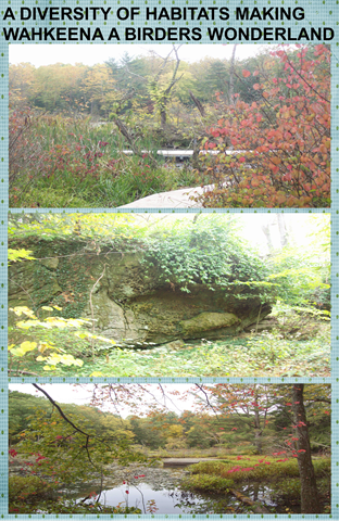 [COLLAGE27.png]