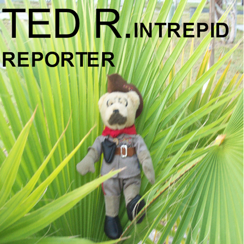 [TEDRFLORIDA[4].png]