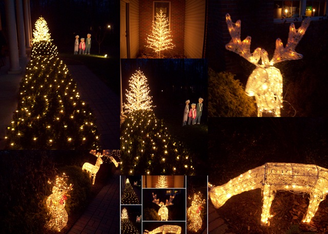 [xmaslights[5].jpg]