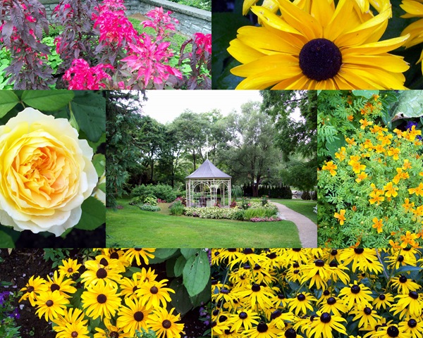 [stratflowercollage[4].jpg]