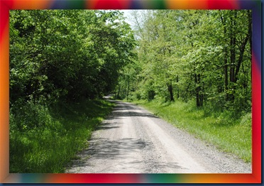 framedroad4 framedroad4